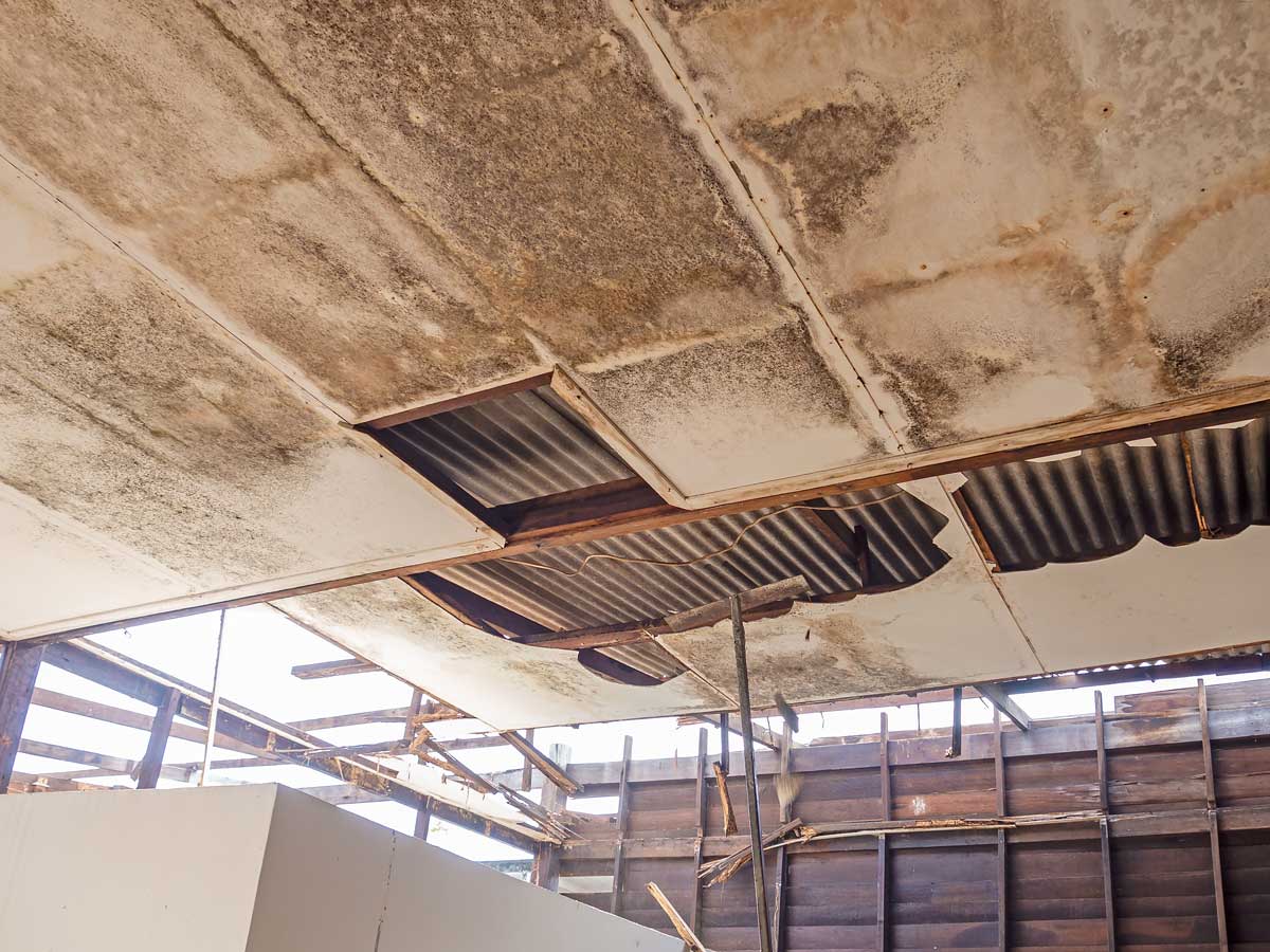 Water-damage-causing-mold-growth-on-the-interior-walls-of-a-property